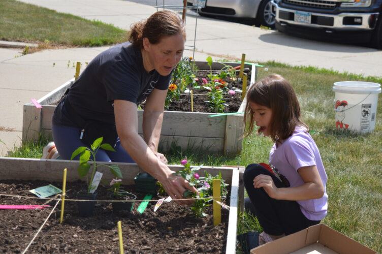 Planting the seeds News, Sports, Jobs Marshall Independent